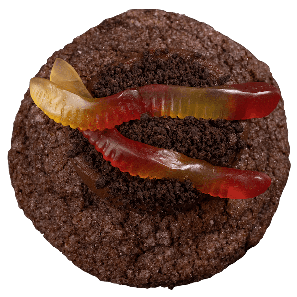 Dirt Cake Dirt Cake