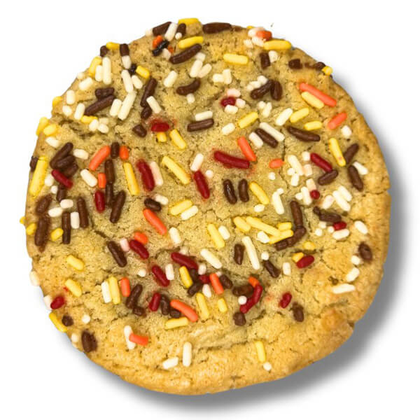 fall-funfetti