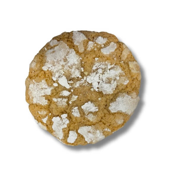 orange orange